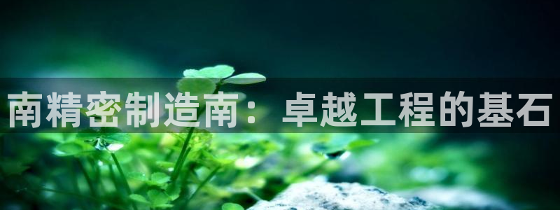 彩神争霸老平台：南精密制造南：卓越工程的基石