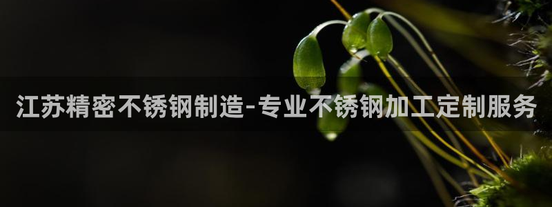 彩神v8是一个什么平台啊：江苏精密不锈钢制造-专业不锈钢加工定制服务